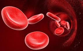 BLOOD PURIFIER CAPSULES
